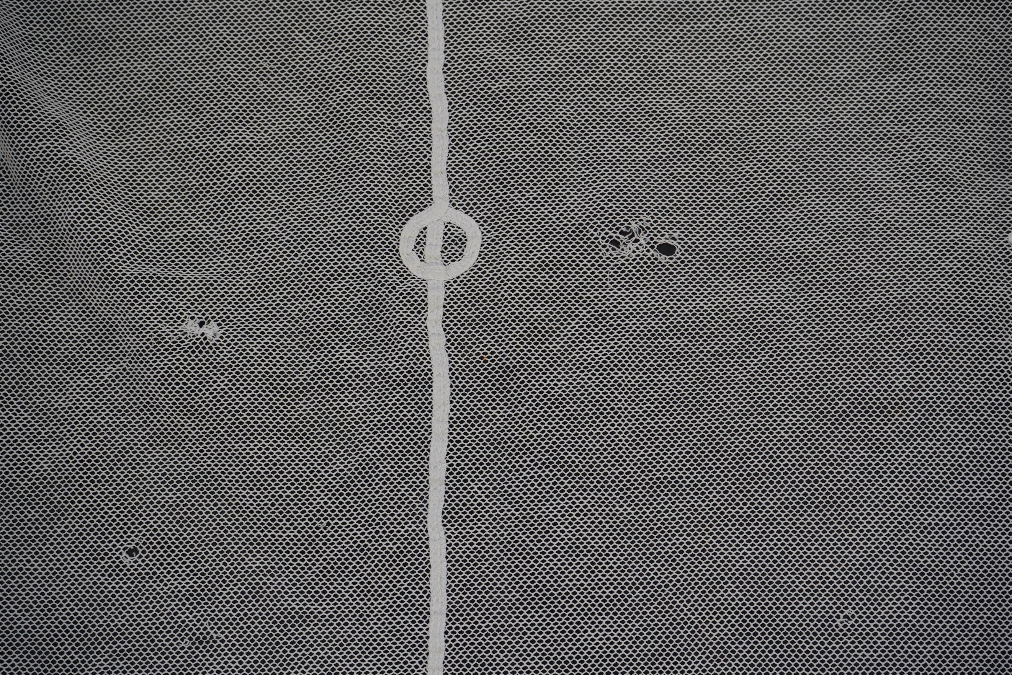 A white tape lace on net bed cover, a cream lace needle run panel, three Brussels bobbin lace collars, a lappet and two beaded tea pot covers, bed cover 200cm x 250cm. Condition - the bedcover has damage to the netting,